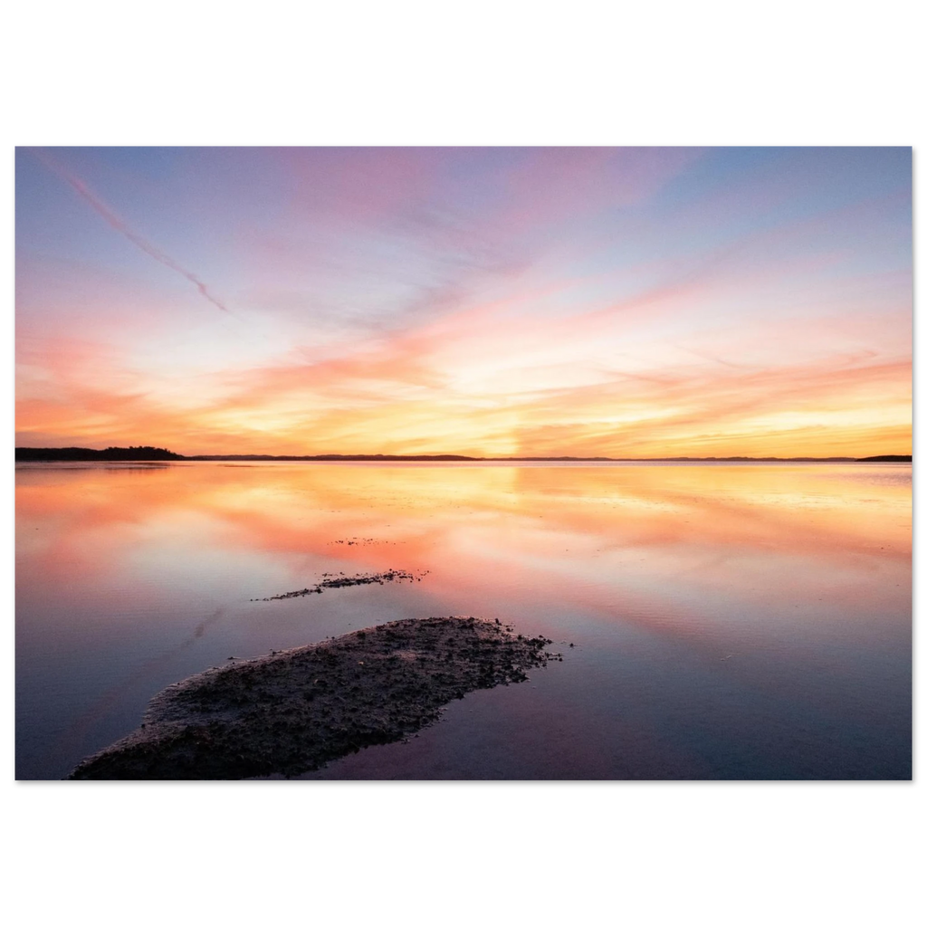 5914f178-34bc-4251-bc71-bc7c4d25f563