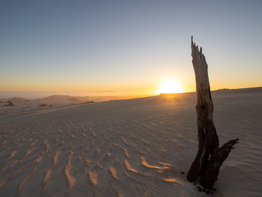 Gunyah Dunes Fine Art Photographic Print