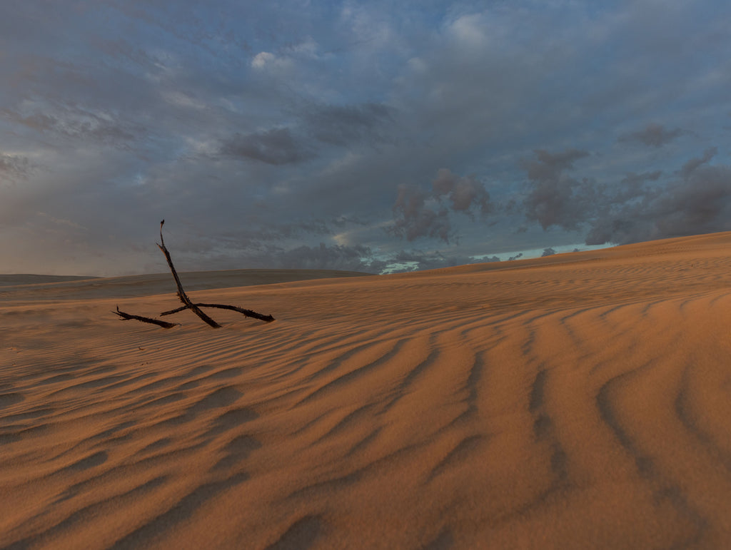 Gunyah Dunes Ripples Fine Art Photographic Print