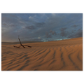 f7182089-16da-46a4-ba5f-01397b1b68fd